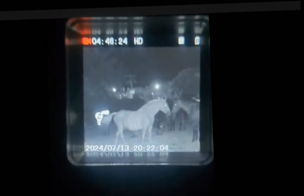 Raven IR Monoscope Reviews: Best Mcg Tactical Night Vision for Preppers